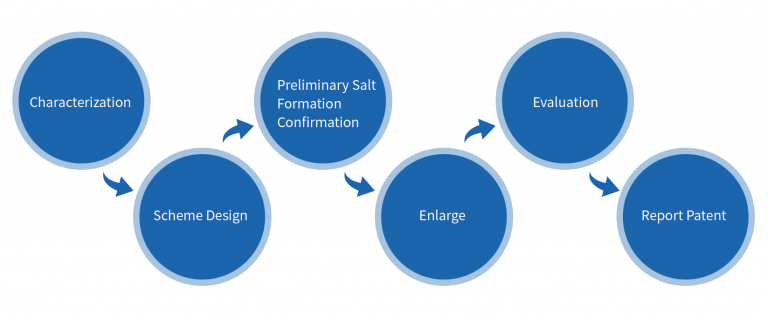 Salt Type Screening Process