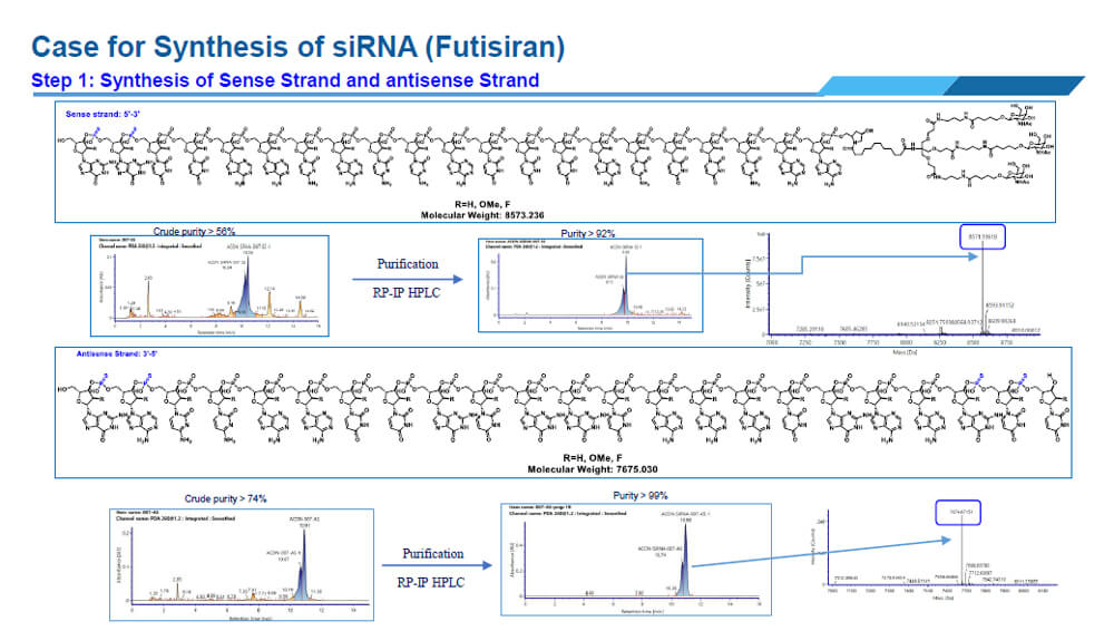 Here is an example of a synthetic siRNA: