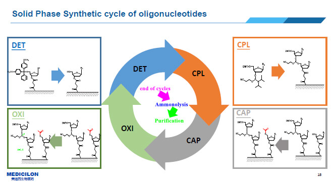 Process of Chemical Synthesis of Oligonucleotides